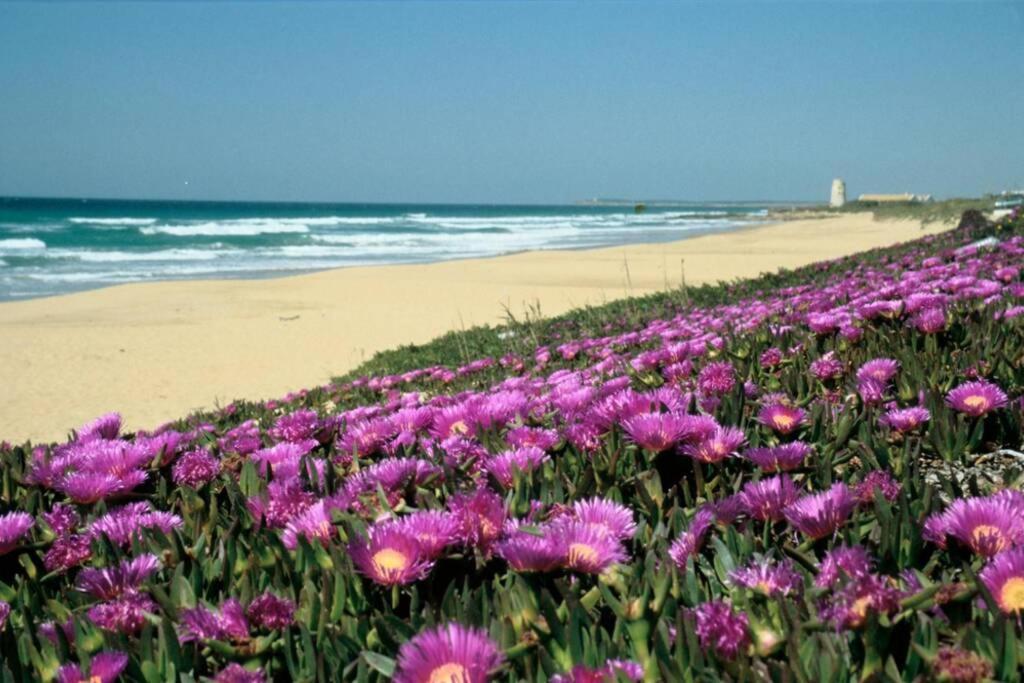 Albayalde Cielo Y Mar Appartement