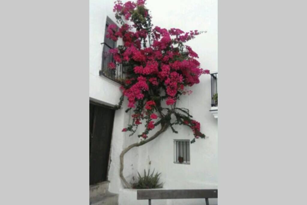 Albayalde Cielo Y Mar * Vejer de la Frontera